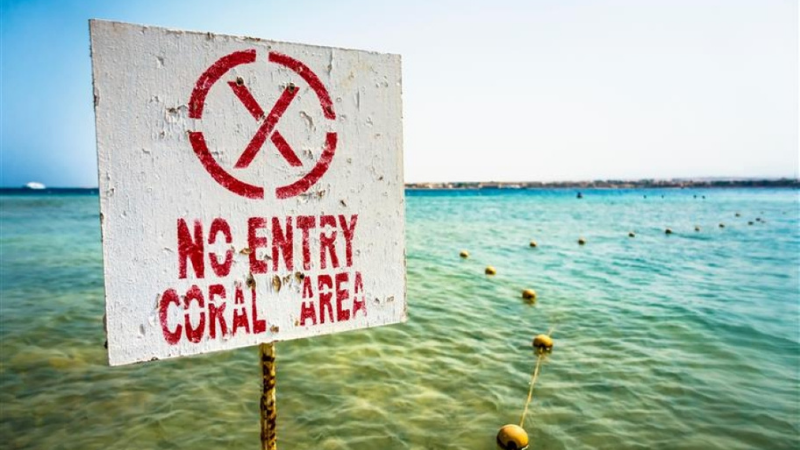 The Bezos Earth Fund Didn’t Just Protect an Ocean — It Exposed a Bigger Truth About Travel