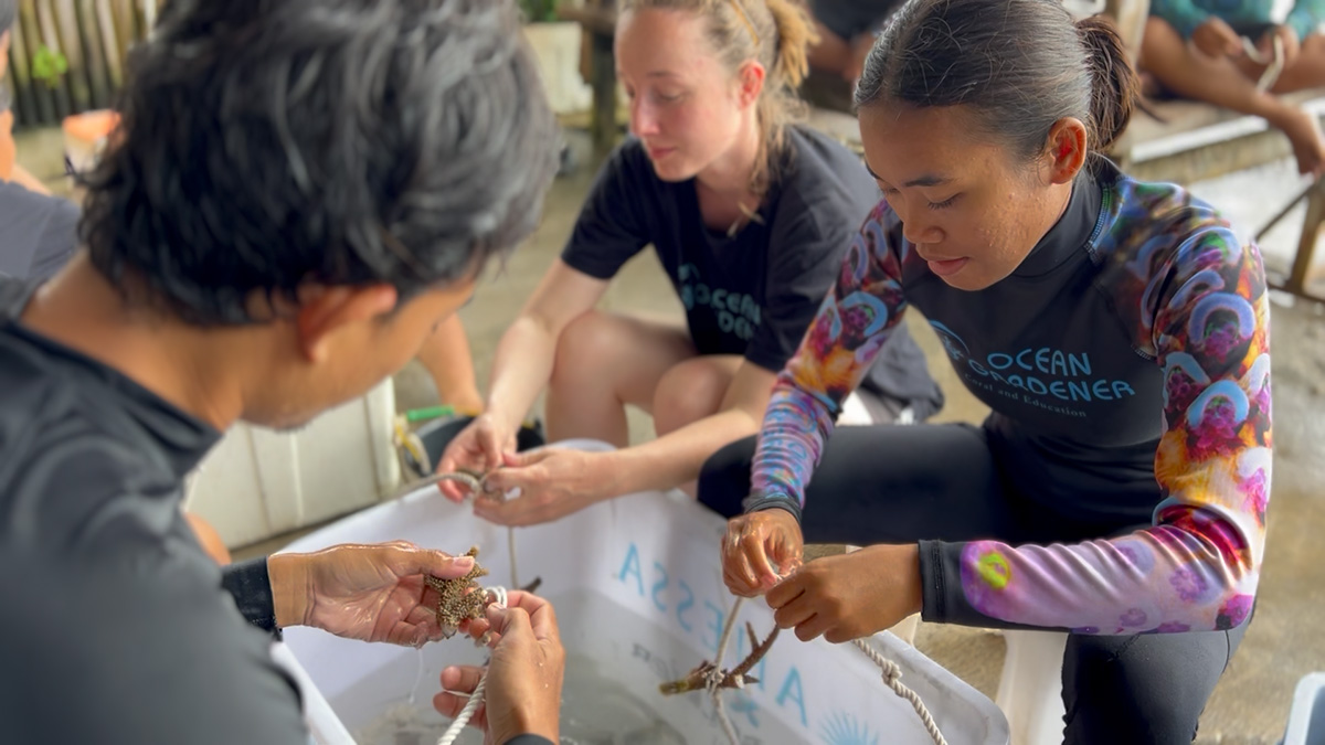 Coral restoration experience participants fragmenting corals and string on a rope for replanting 