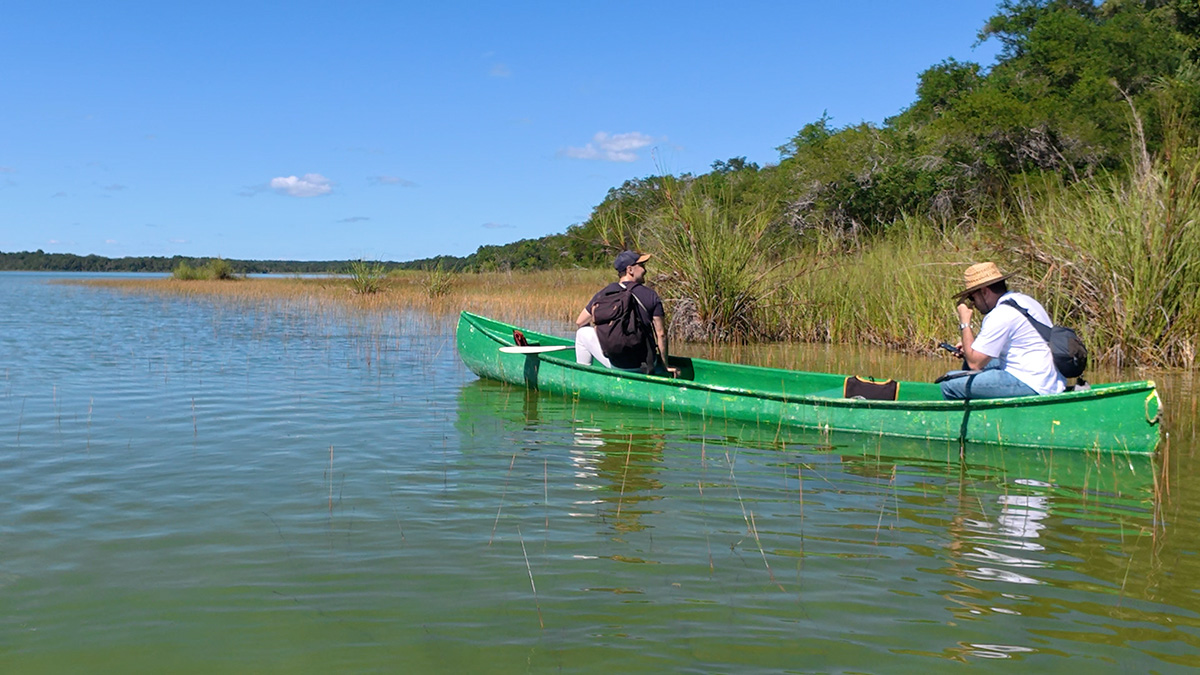 Canoeing and spider monkey spotting in Punta Laguna, Mexico 