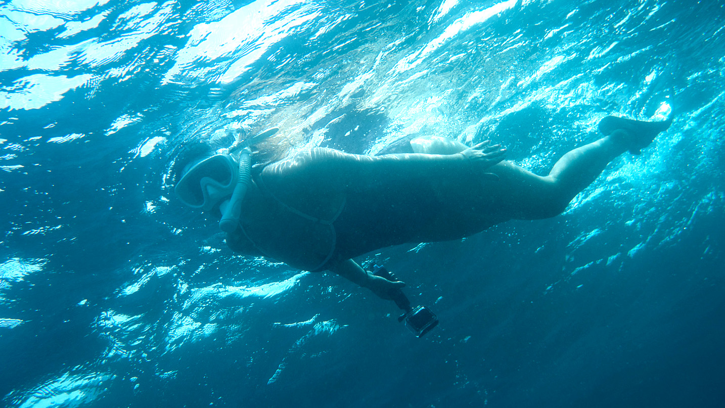 Snorkel during a coral restoration experience in Bali