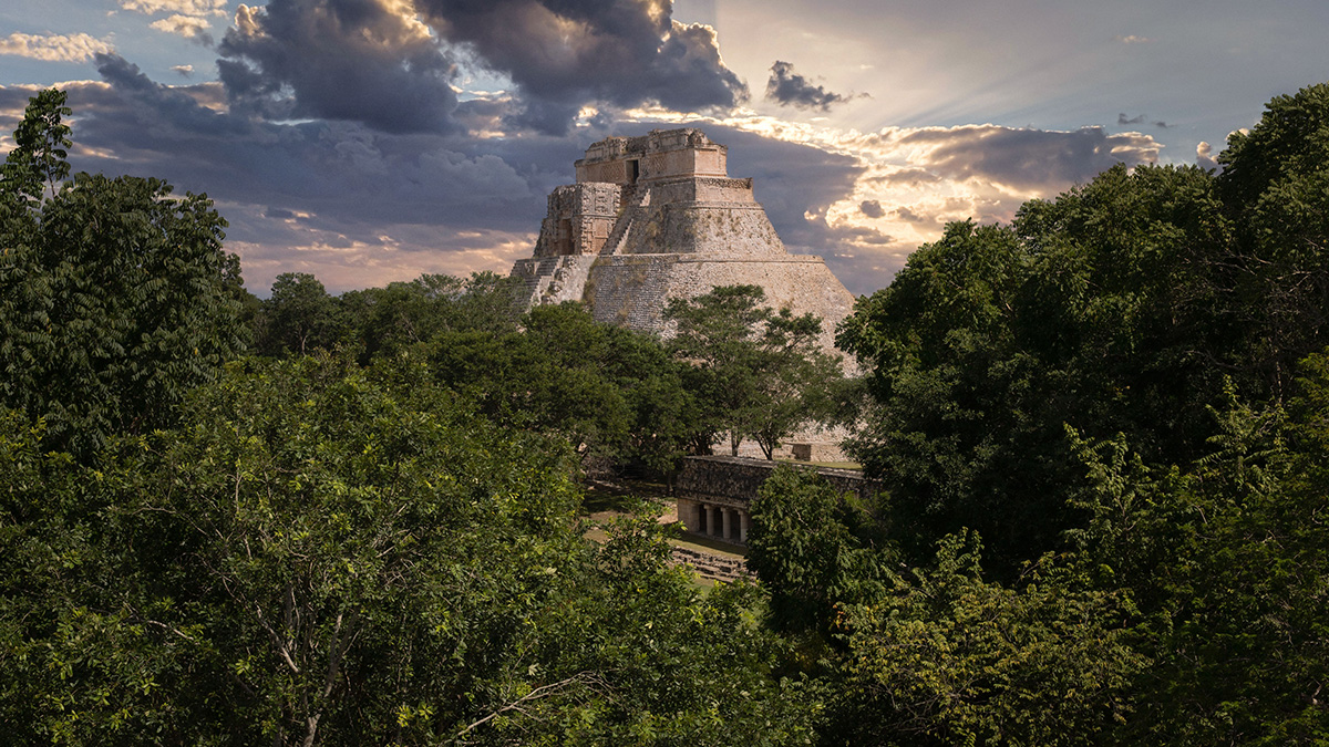 Why Protecting Our Forests Is Non-Negotiable