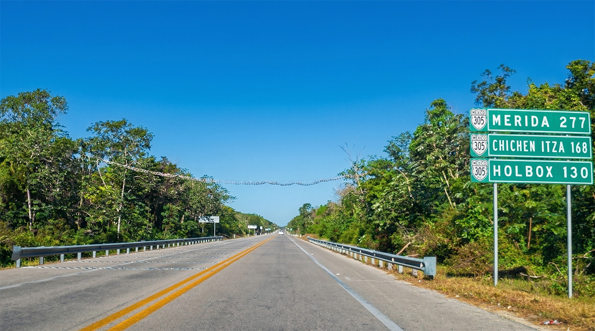 aerial bridge for monkeys on the mexican highways