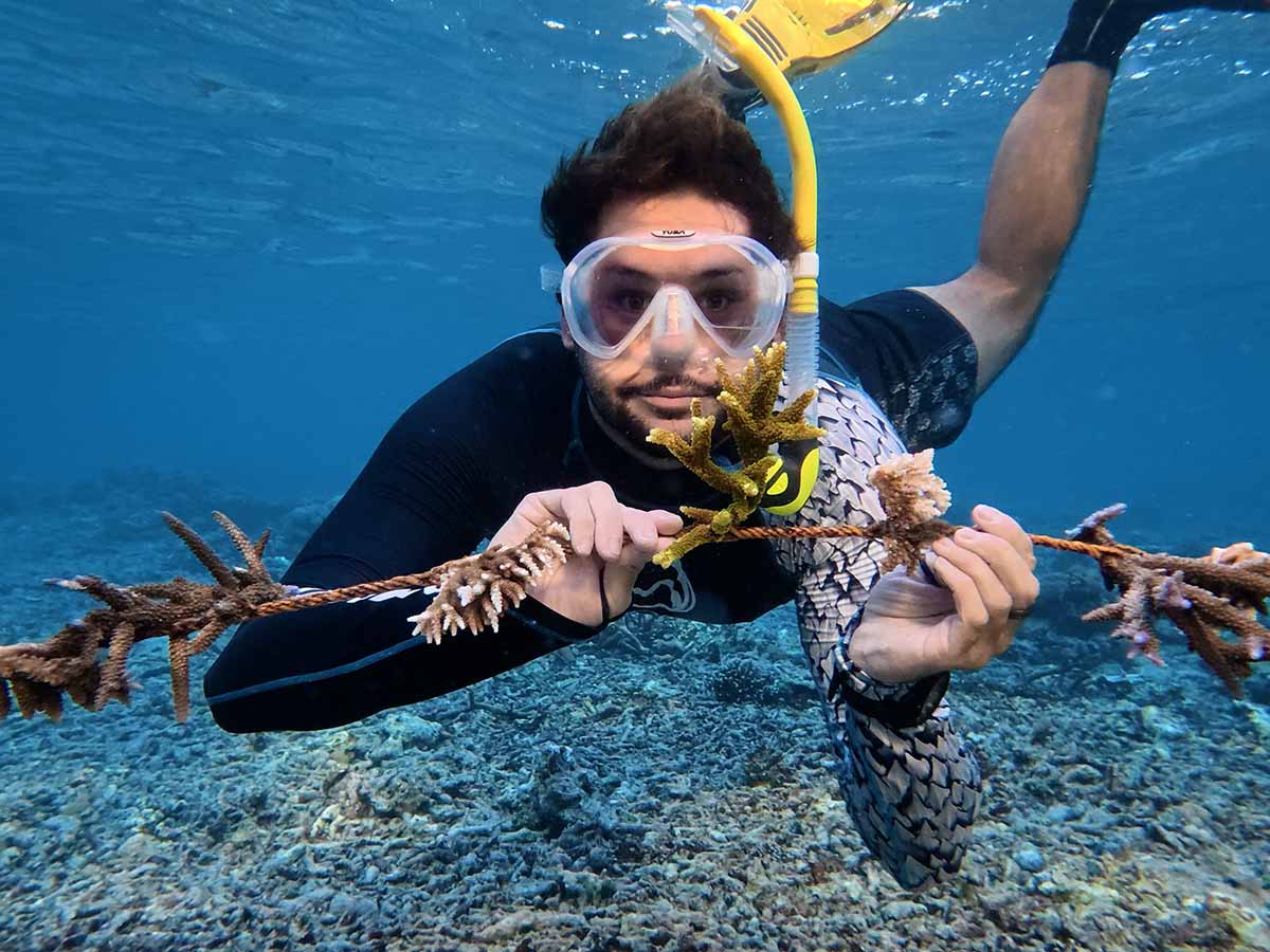 What Happens When You Adopt a Coral Reef?
