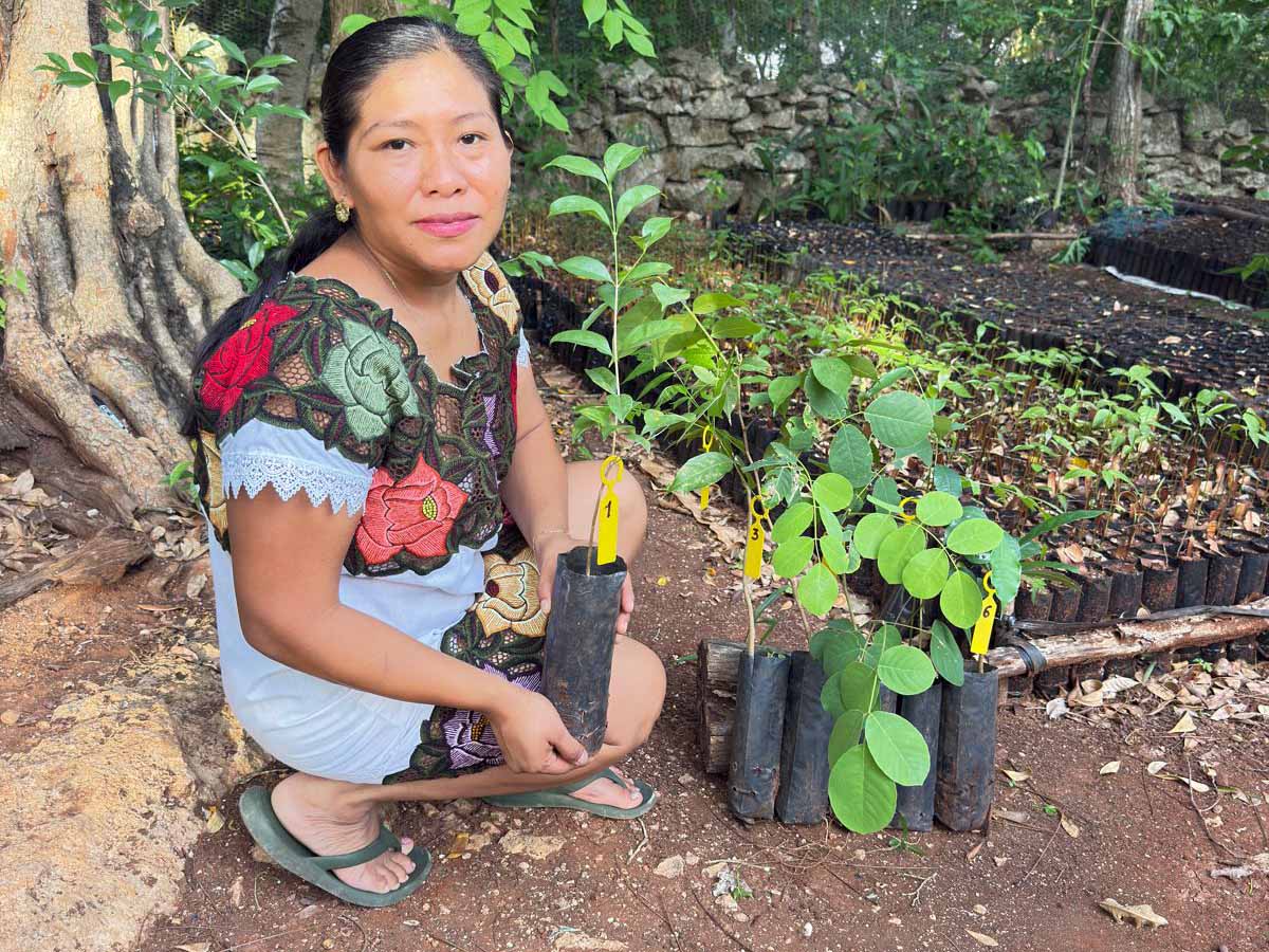 Adopt a Coral vs. Plant a Tree — Which Conservation Action Has More Impact?