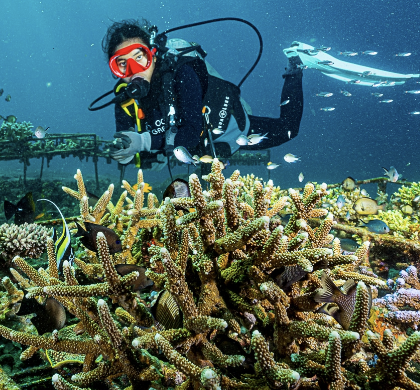Intro to Coral Restoration (Ped)