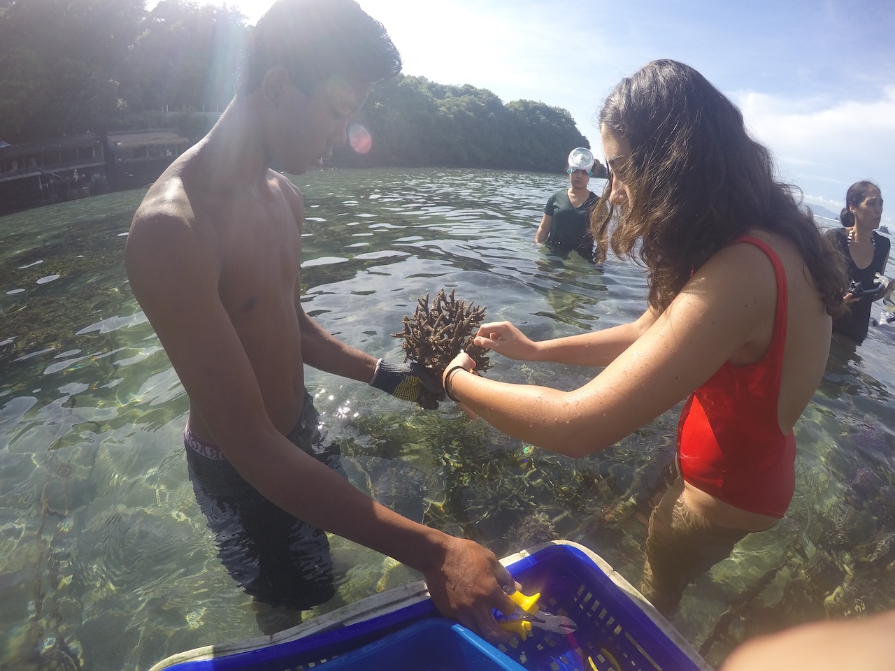 Candidasa Coral Restoration Tour photo 2