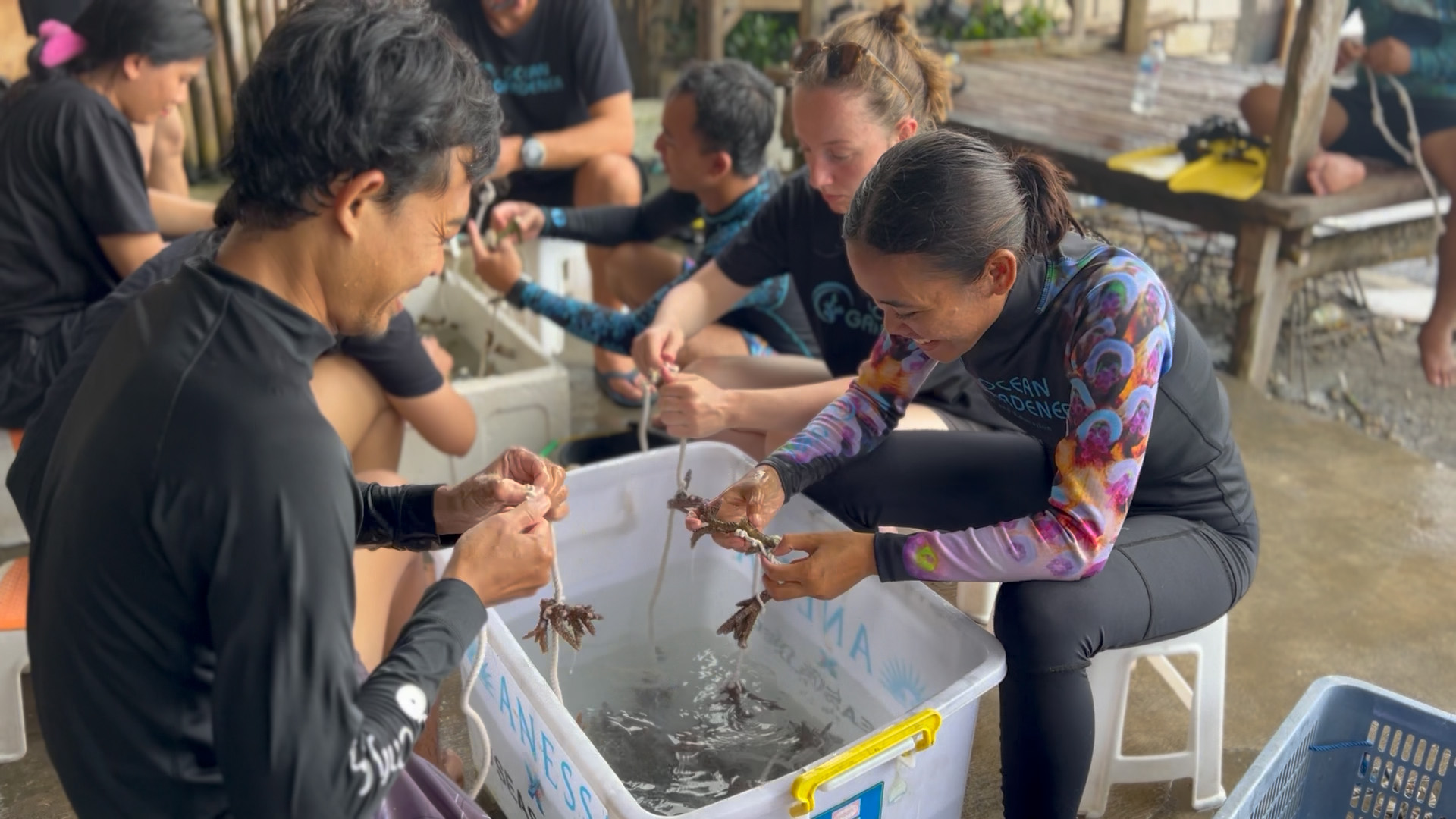 Nusa Penida Coral Restoration Snorkel Tour photo 1