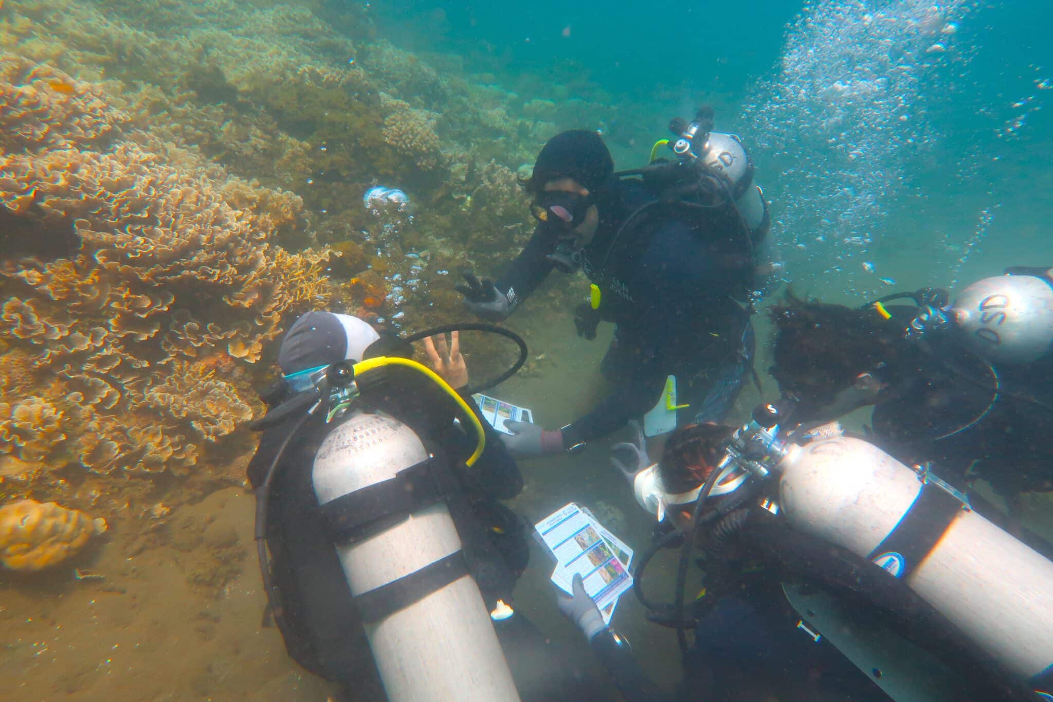 Intro to Coral Restoration Indonesia (Lipah) photo 1