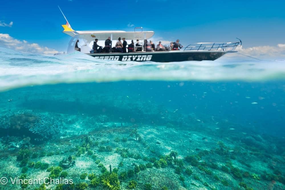 Intro to Coral Restoration Indonesia (Lipah) photo 2