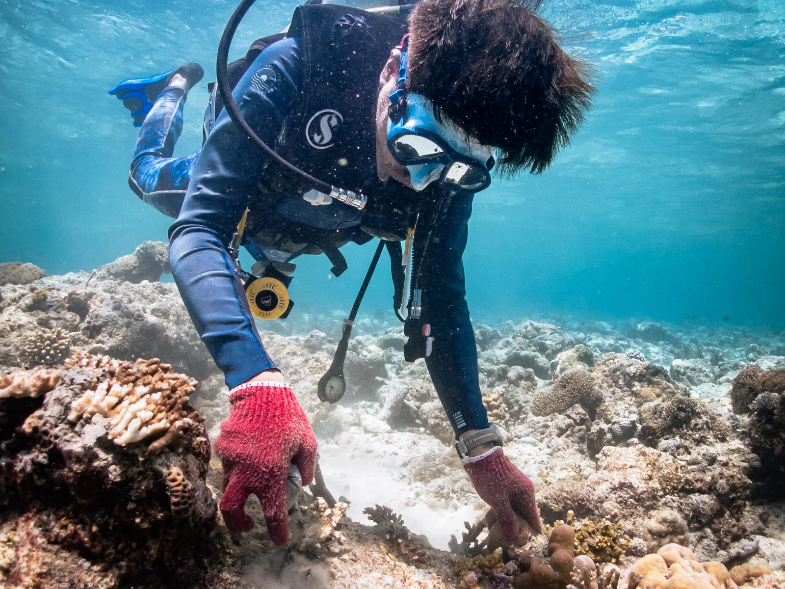 Coral Restoration Course photo 1