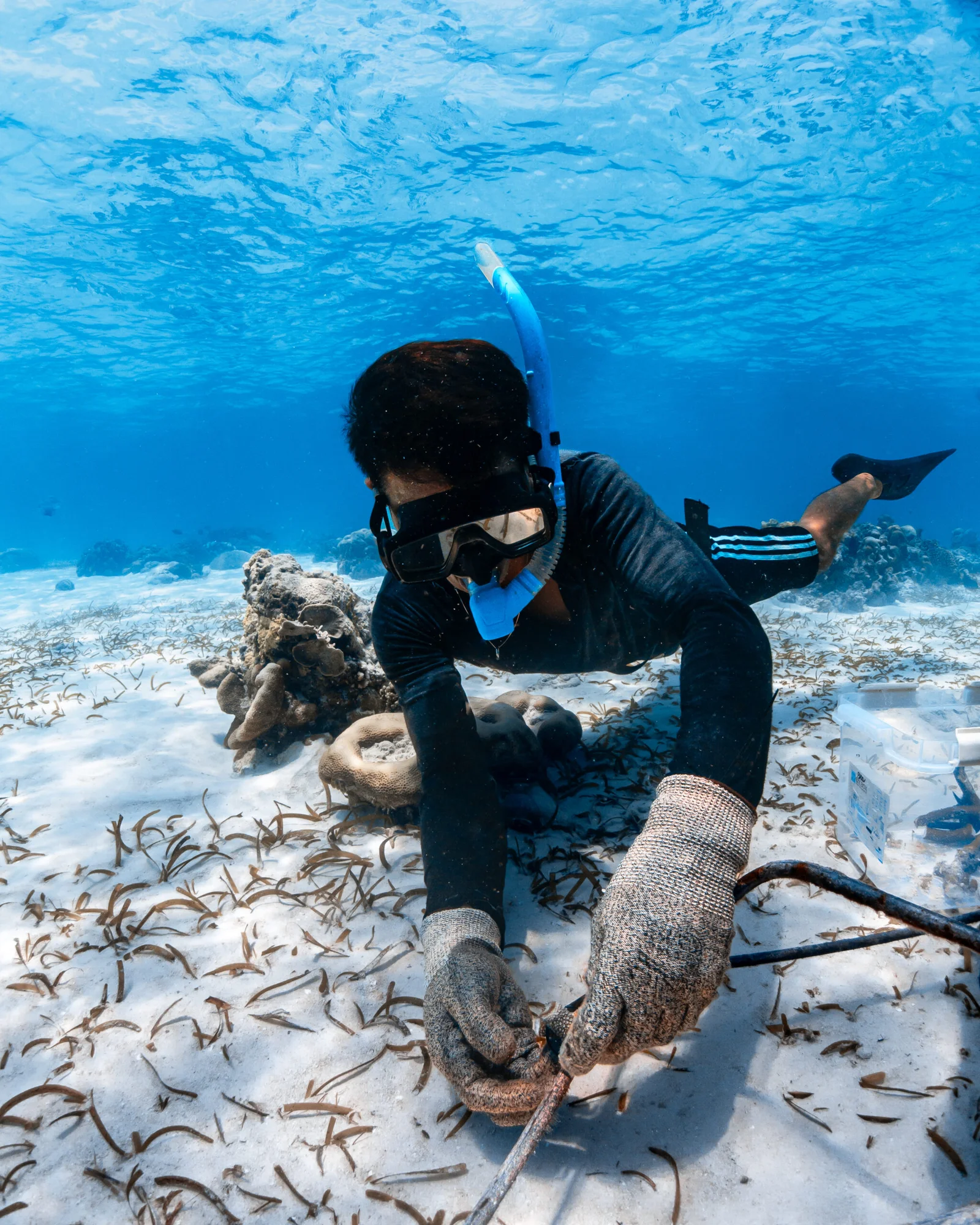 Coral Foundations photo 1