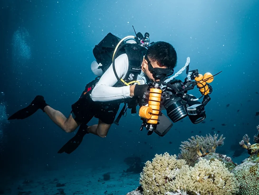 Coral Foundations photo 5