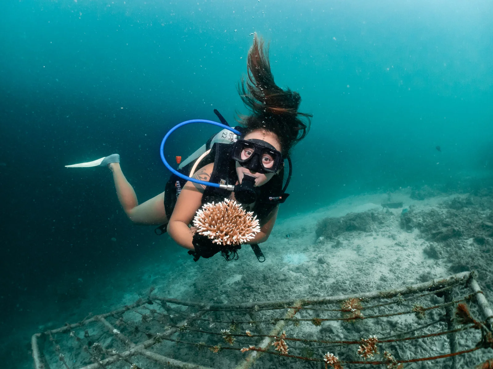 Coral Workshop photo 1