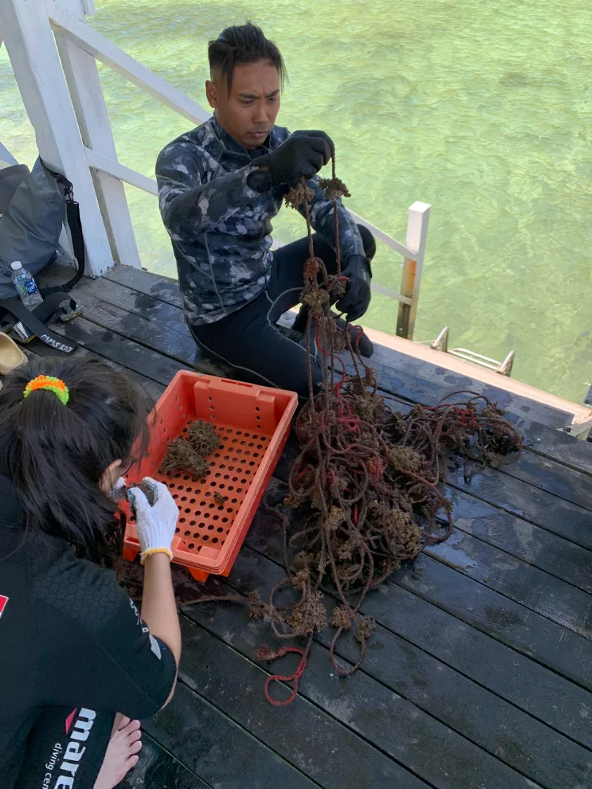 Coral Workshop photo 4