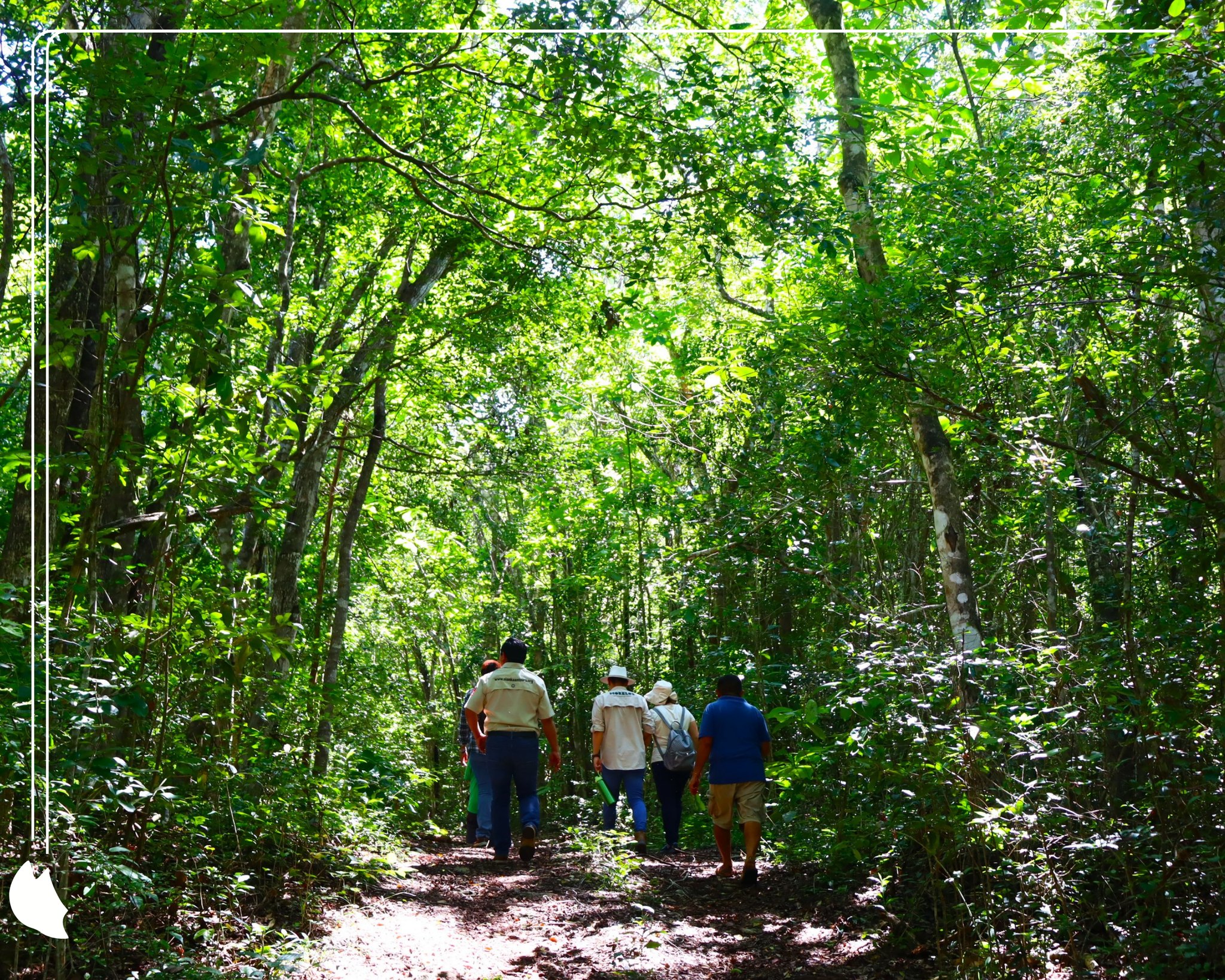 Jungle Hike and Chicle (traditional gum) Demo photo 1