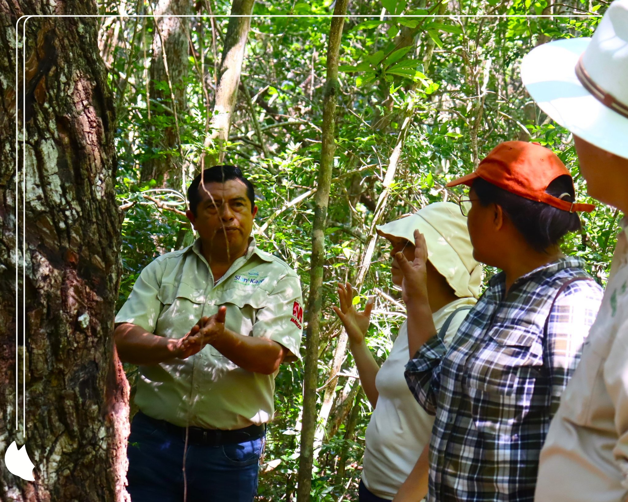 Jungle Hike and Chicle (traditional gum) Demo photo 2