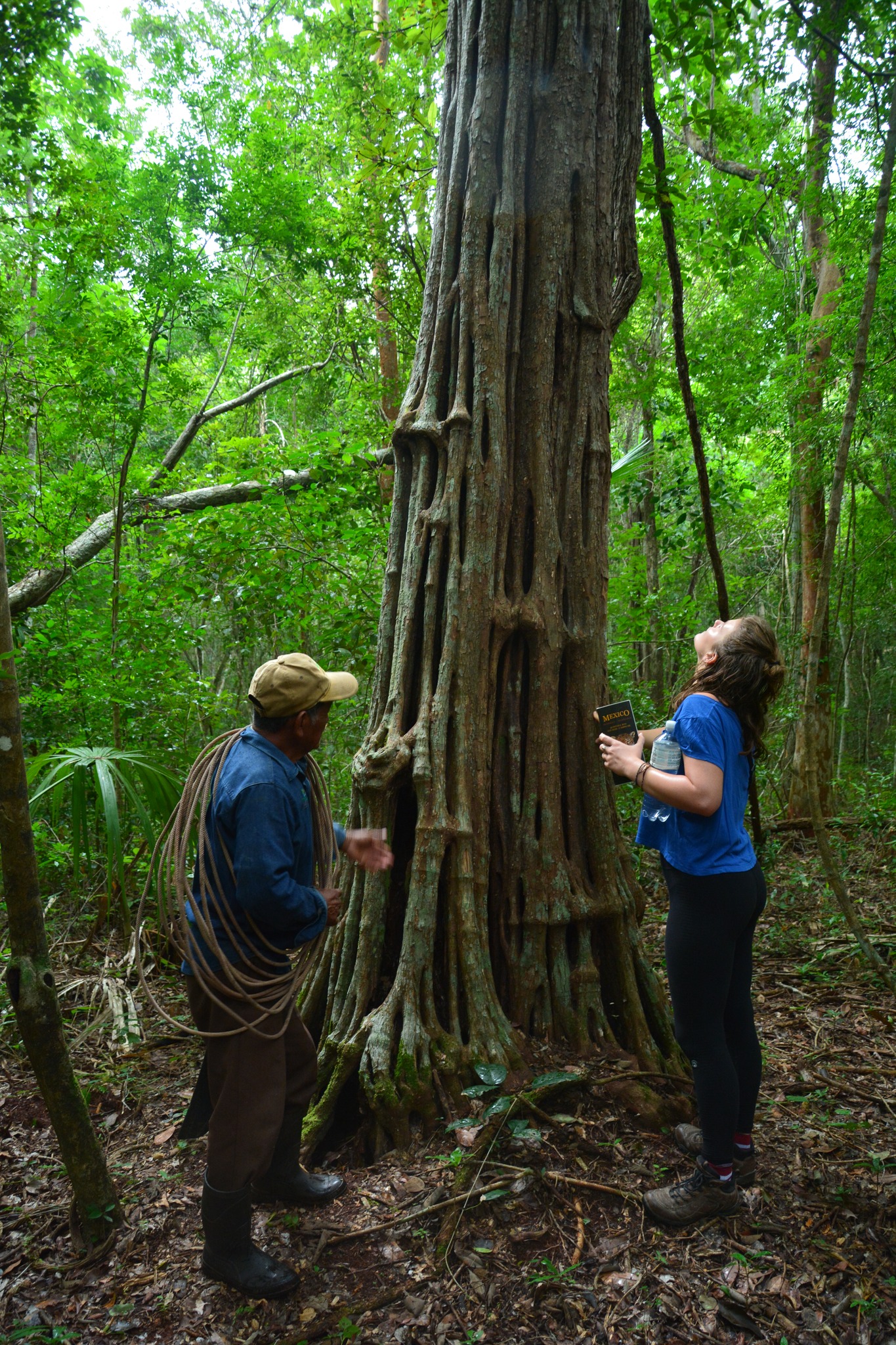 Jungle Hike and Chicle (traditional gum) Demo photo 4