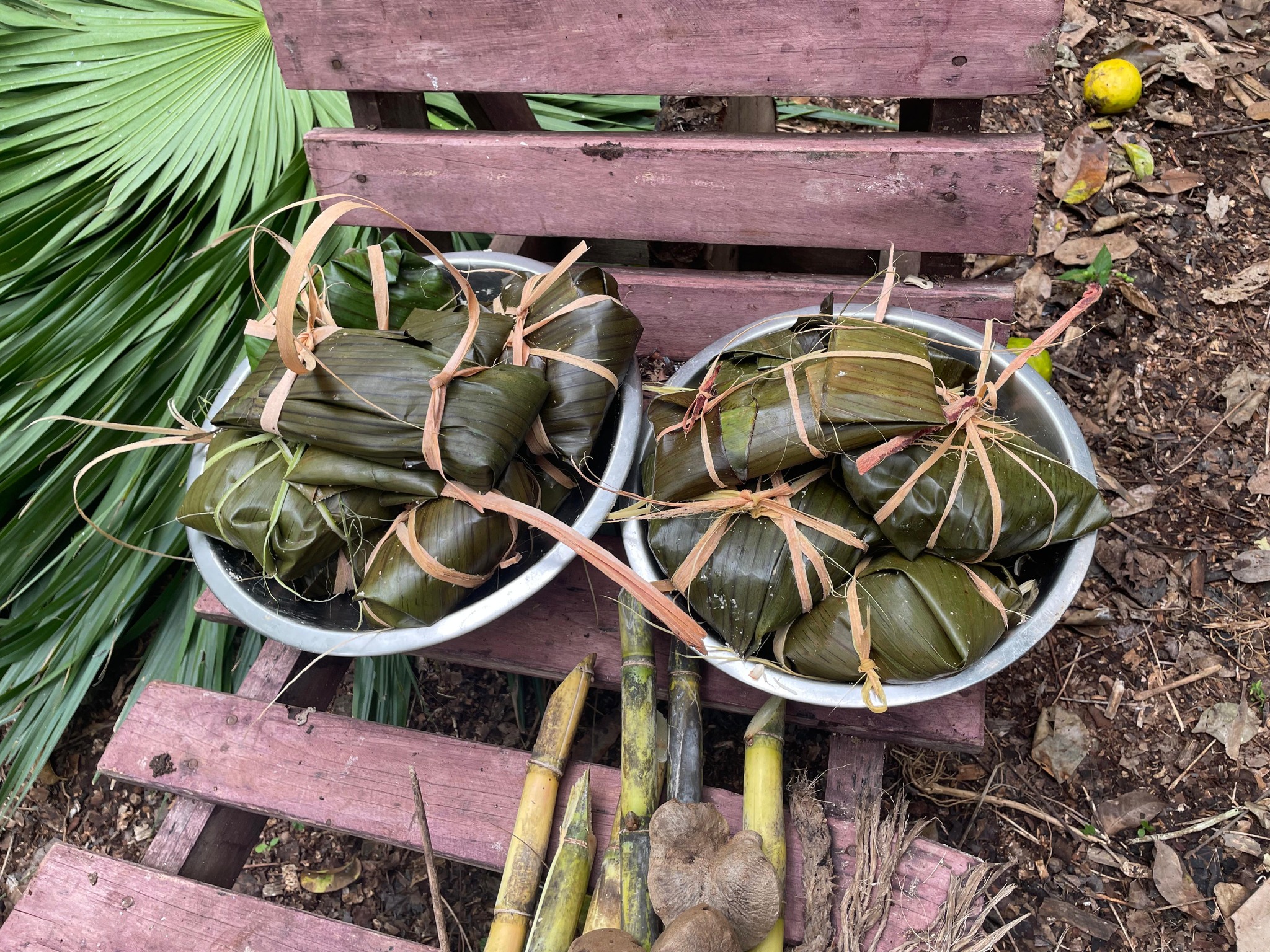 Traditional Mayan Cooking Class For The Forests photo 1