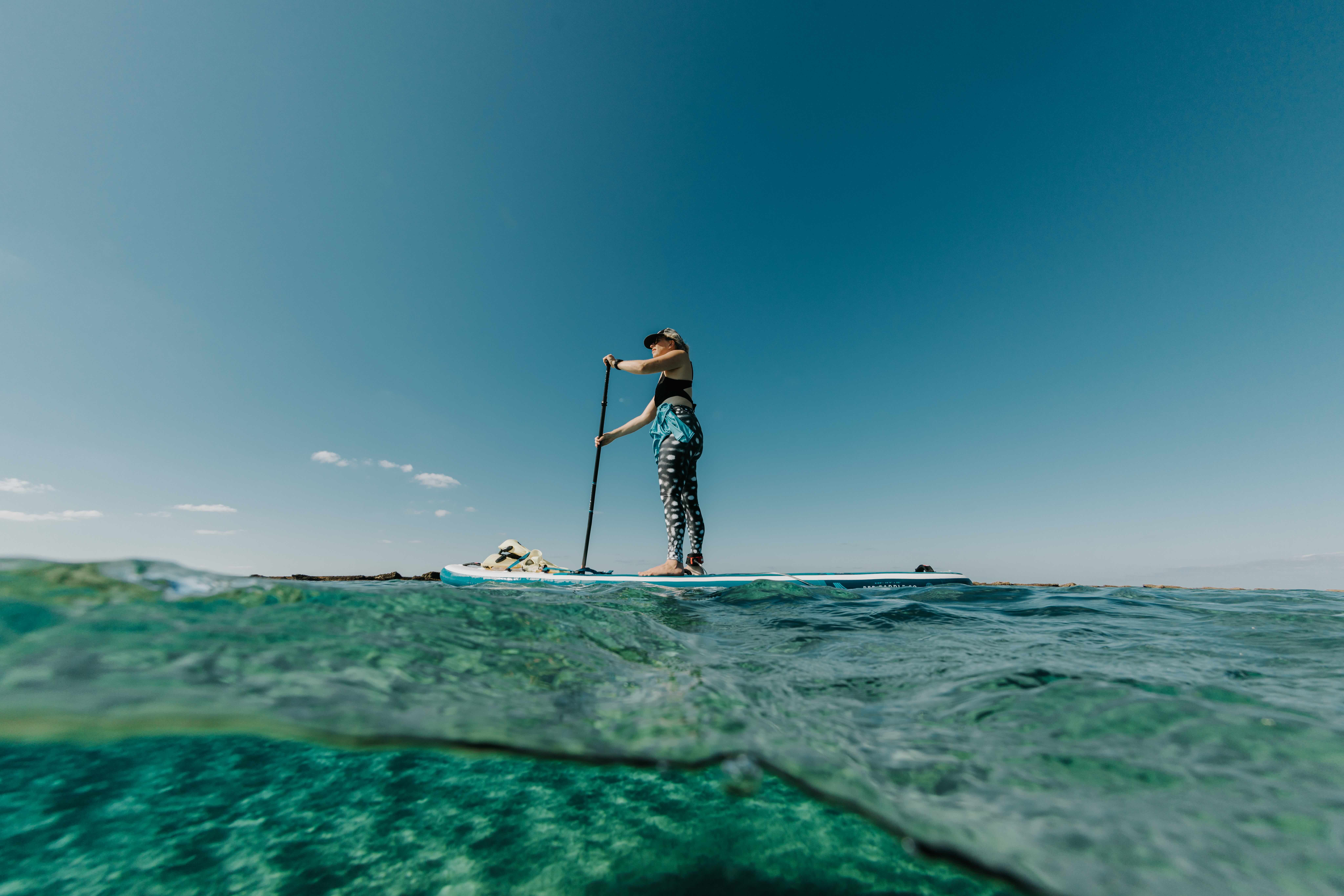 Whales and Waves: 10 day citizen science expedition photo 6