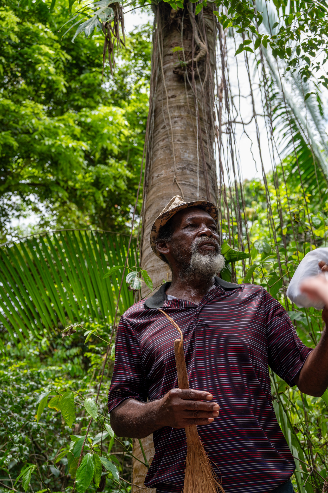 Belize Monkey Adventure Tour photo 3