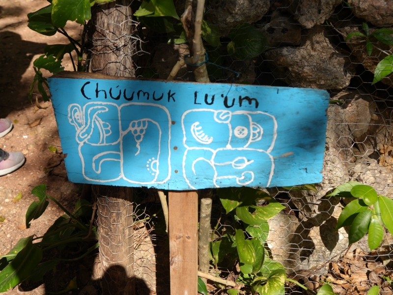 Xocen Reforestation Experience - Mayan Cooking Class, Tree and Bee Nursery Visit photo 4