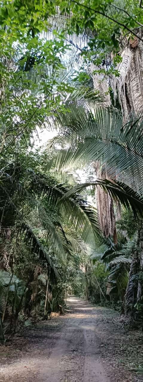 Day Trip: Into the Crocodile Nest photo 5
