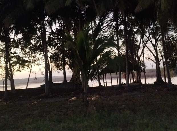 4-Day Ultimate Jungle Escape (3 Nights) photo 1